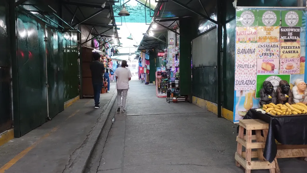 IMG_20250109_094902692_MP