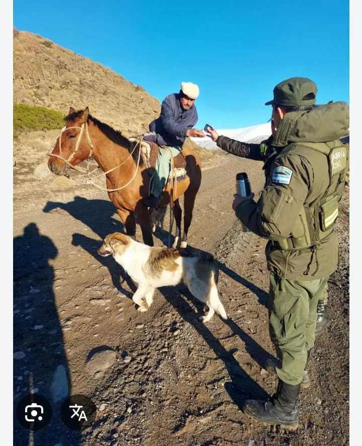 Fuerzas de Seguridad brindan asistencia social