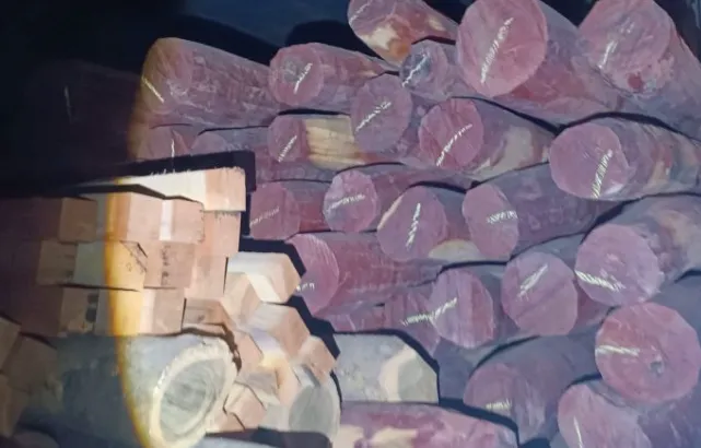 Captura de pantalla 2025-09-11 103008