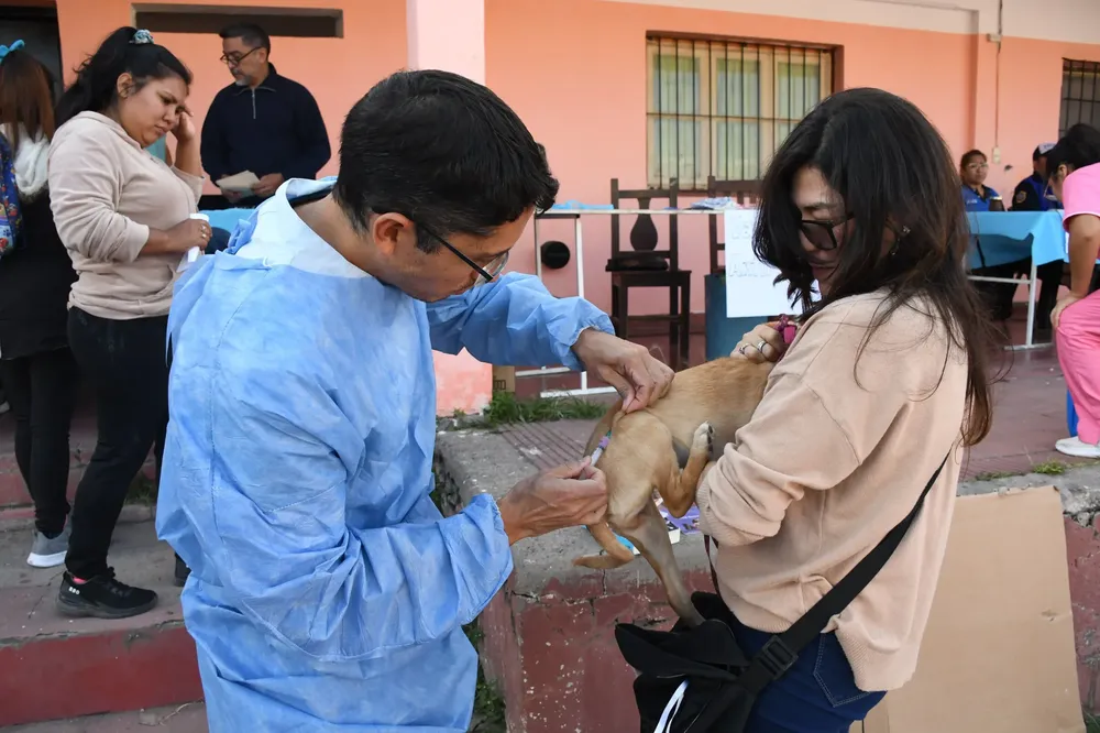 Campaña de vacunación antirrábica