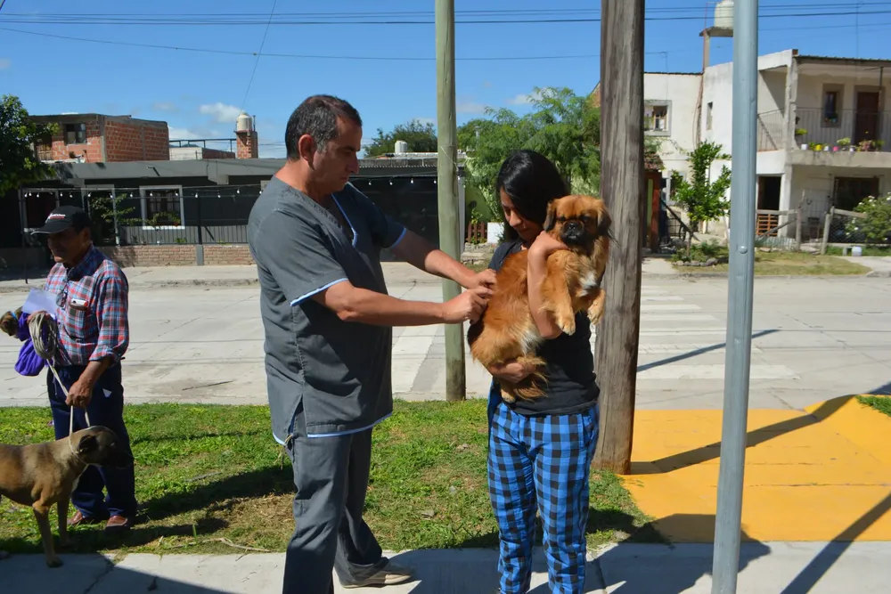 vacunacion-antirrabica-33-2048x1365