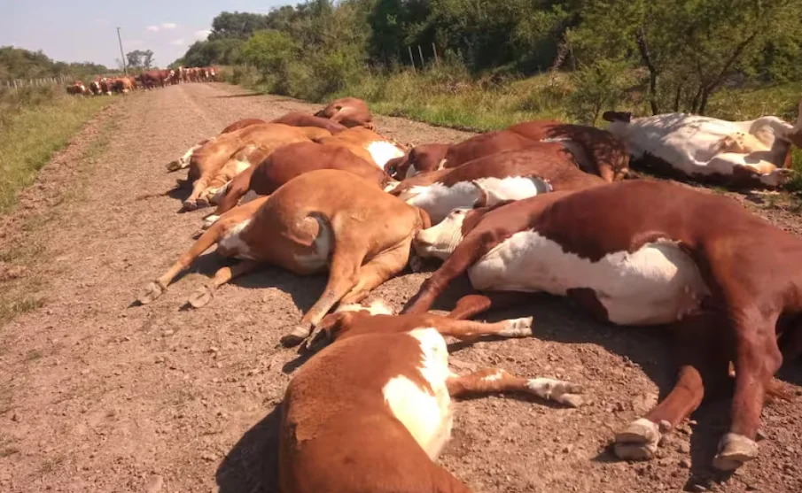 Captura de pantalla 2026-03-30 115742