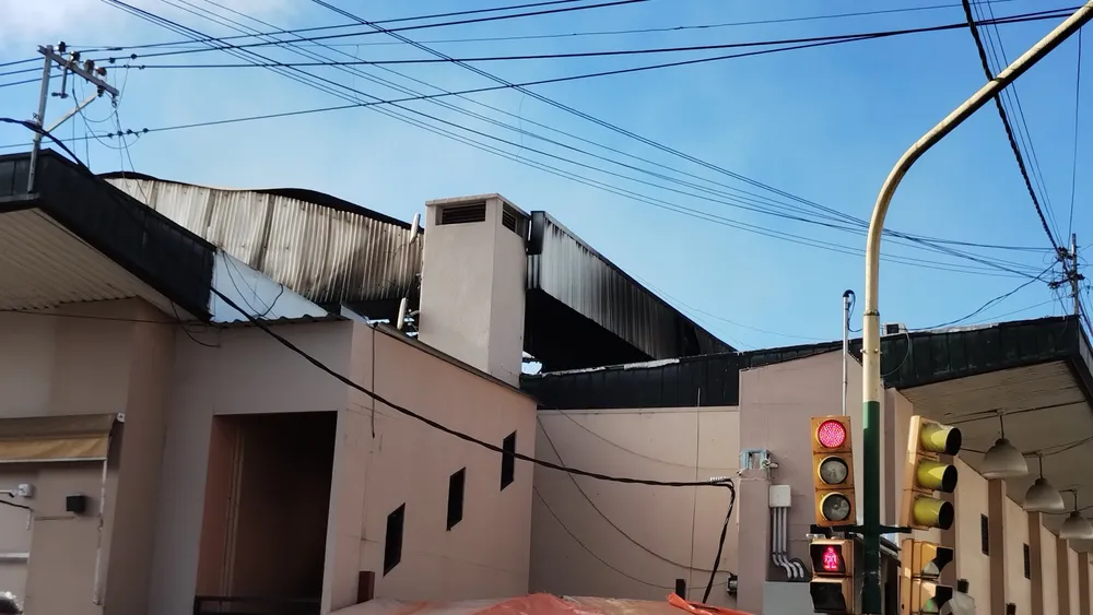 IMG_20241106_085247947