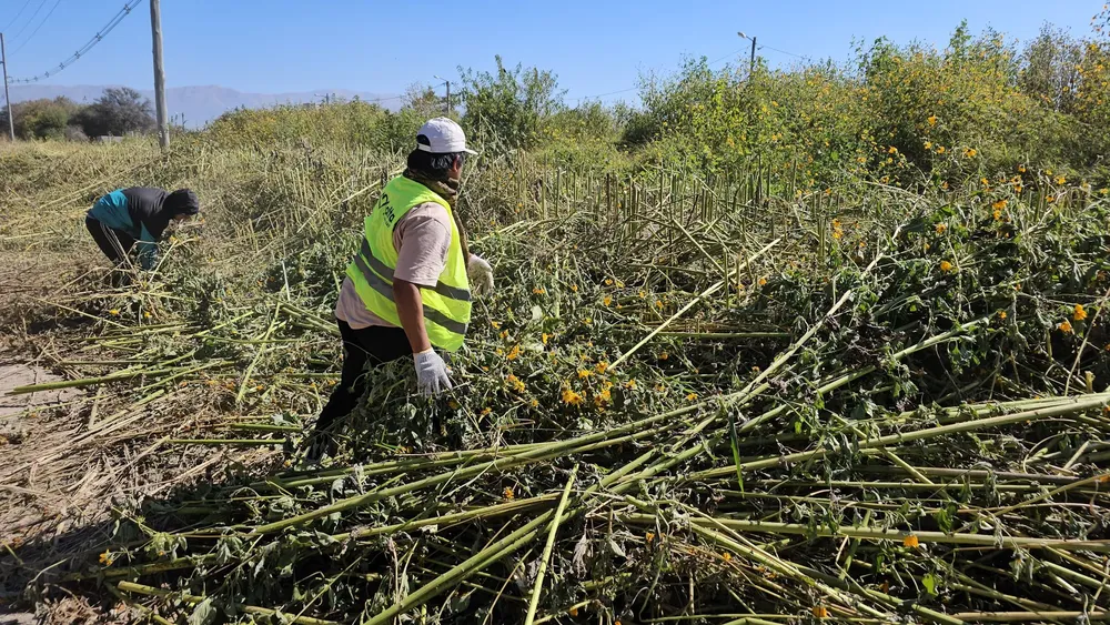 limpieza-de-canal-6-2048x1153