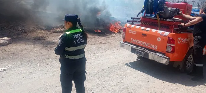 WhatsApp-Image-2025-10-07-at-3.46.38-PM-696x314