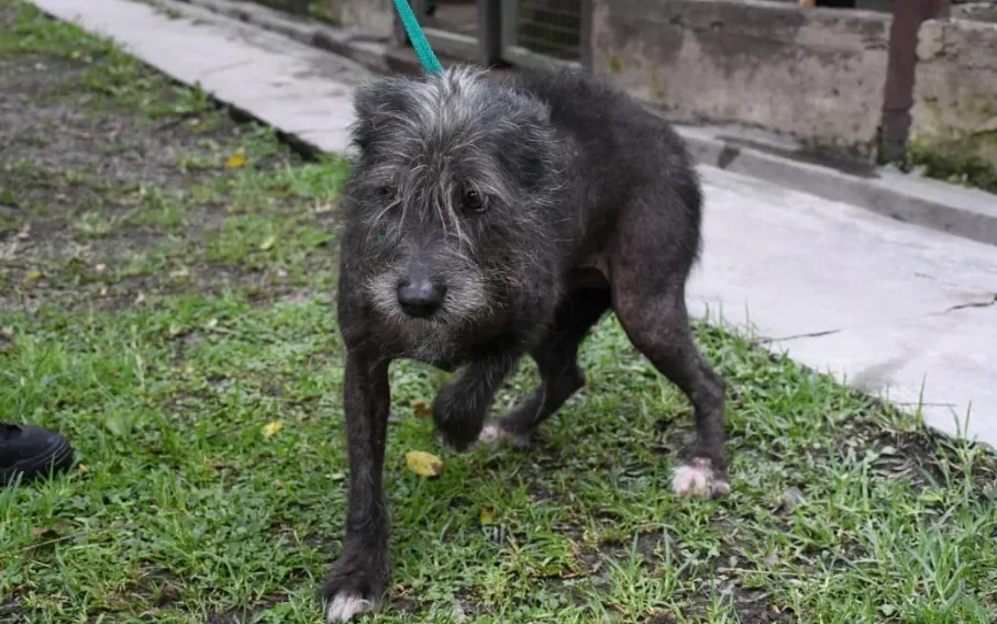 Captura de pantalla 2026-04-01 100650