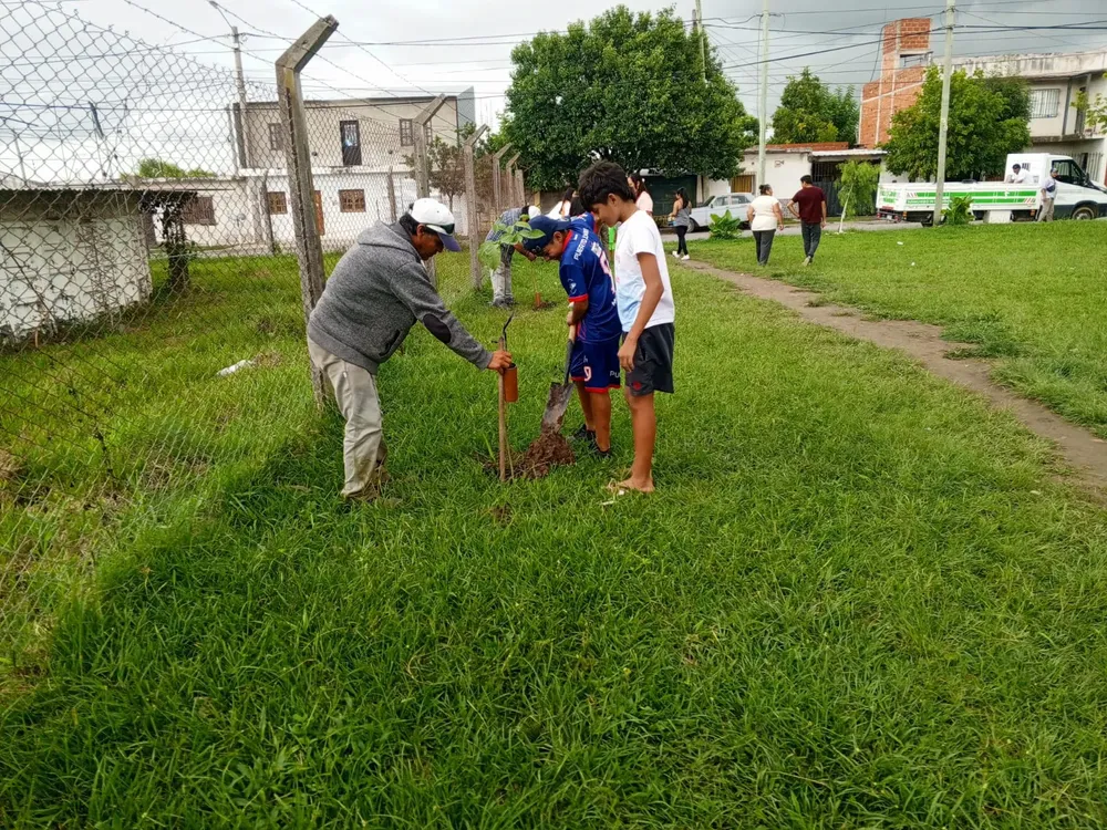 plantacion-puerto-argentino-1