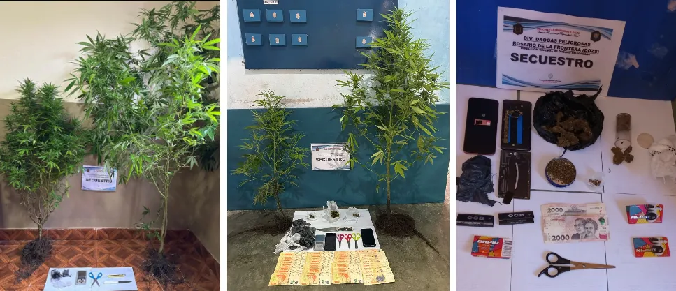 Captura de pantalla 2025-02-21 121019