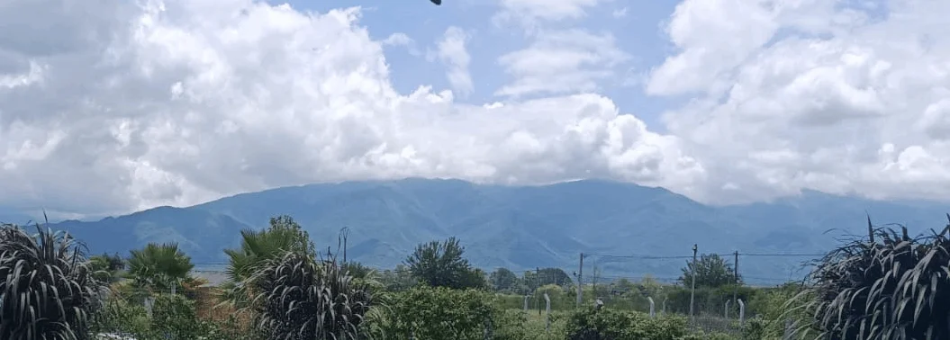 Cerros de Campo Quijano