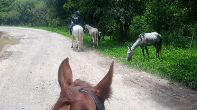 Captura de pantalla 2026-01-05 124230