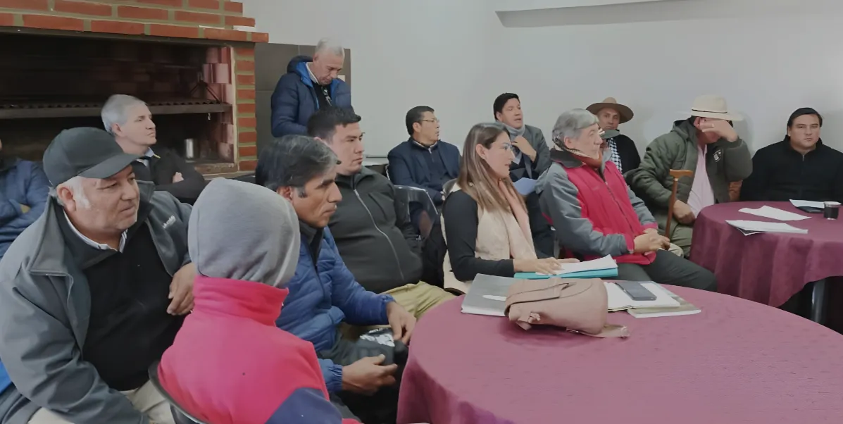 Captura de pantalla 2025-06-27 131649