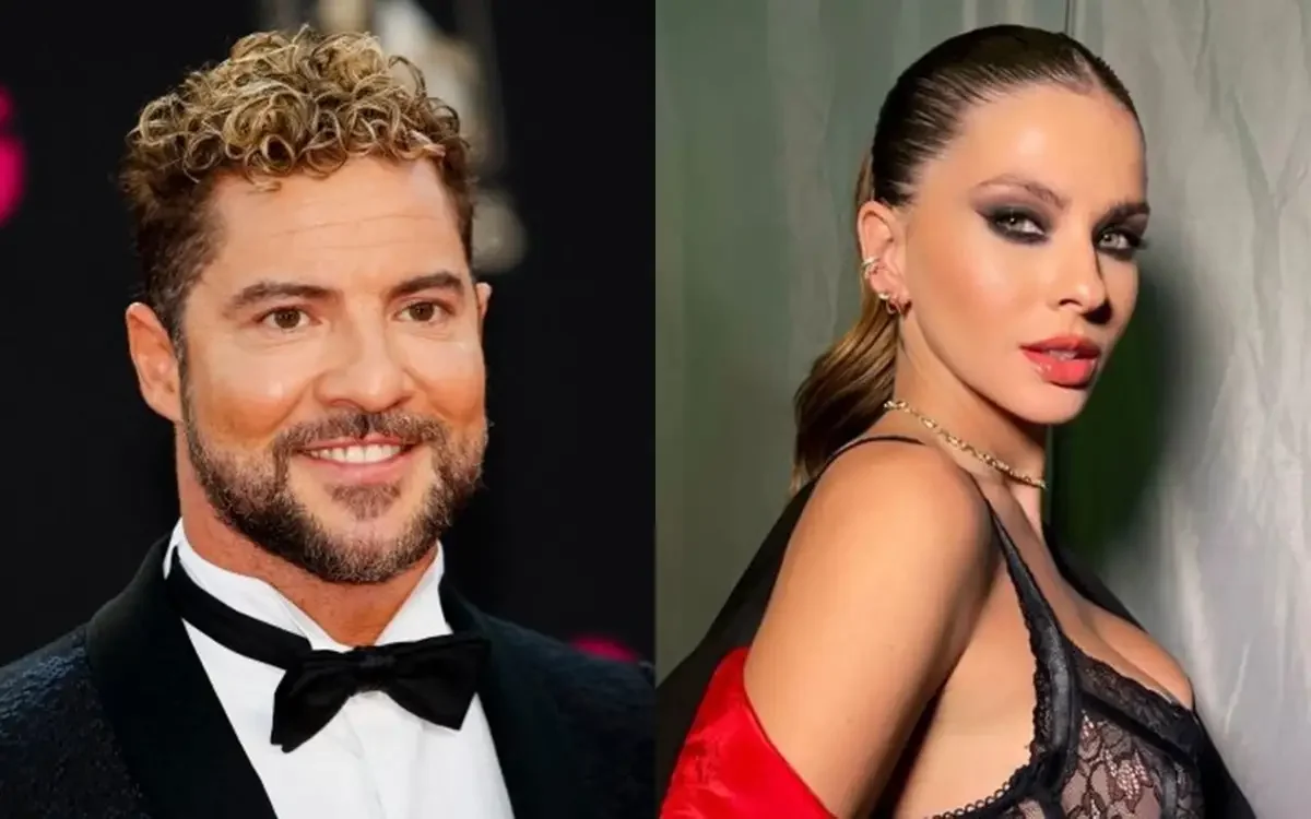 david bisbal china suarez