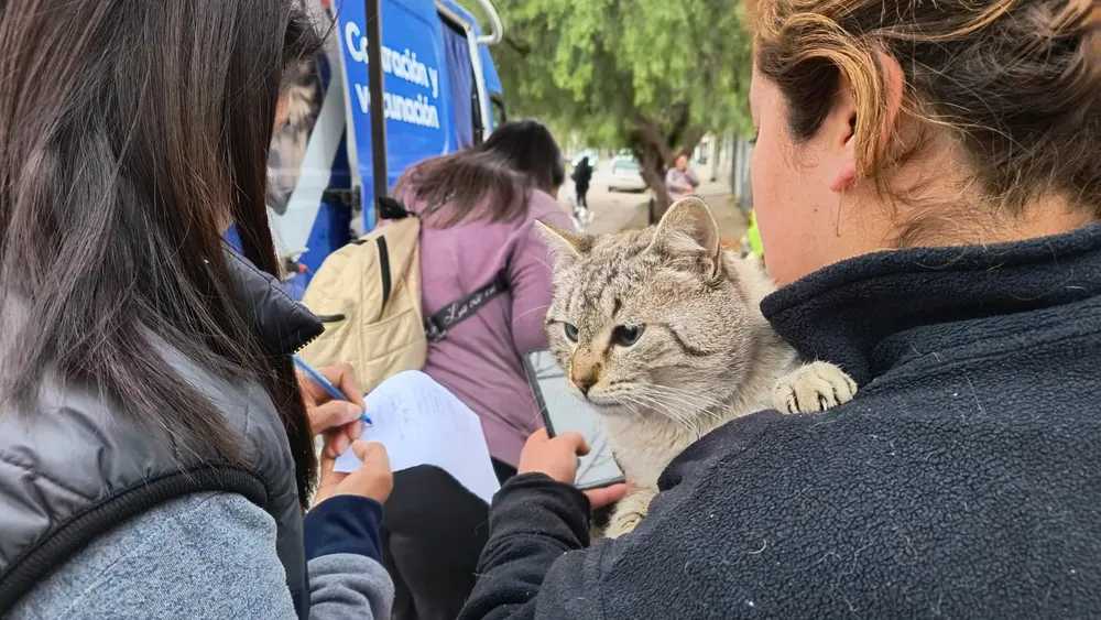 movil-de-castracion-barrio-mosconi-4