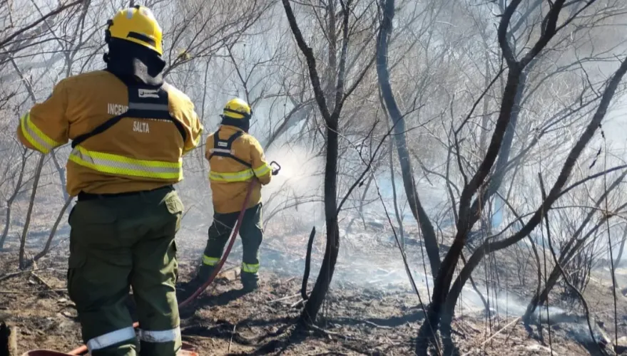 incendio cerro San Bernardo