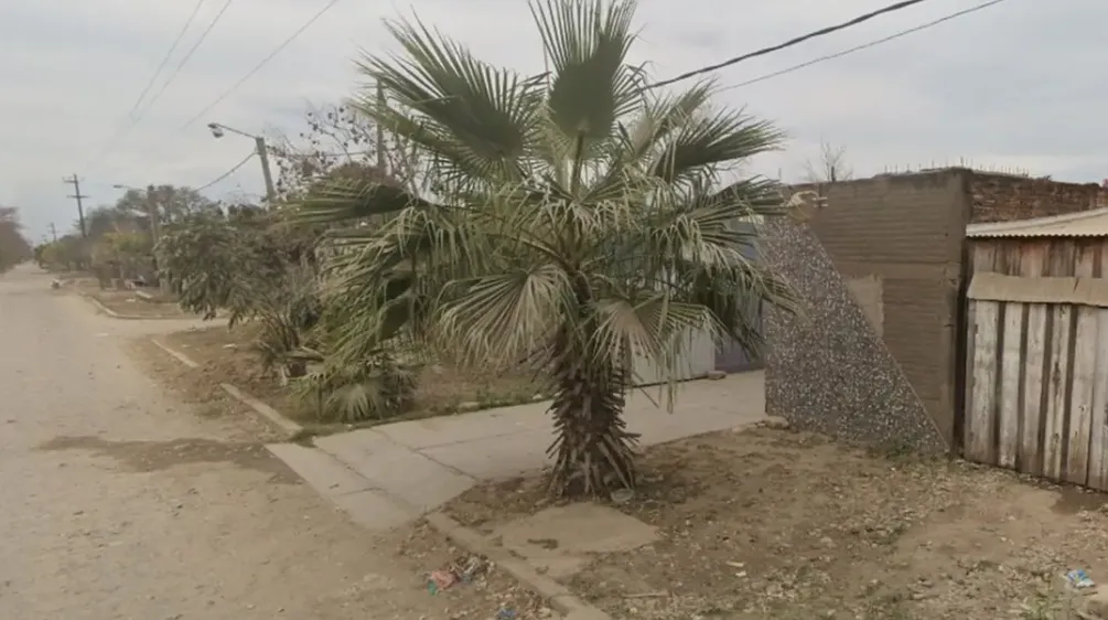 Captura de pantalla 2025-10-03 121803