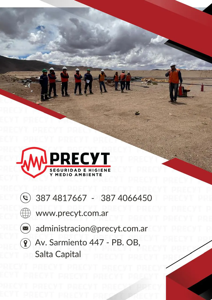 WhatsApp Image 2024-11-13 at 20.47.49