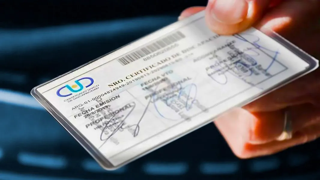 94804-asesoramiento-para-tramitar-el-certificado-nico-de-discapacidad-en-barrio-constitucion