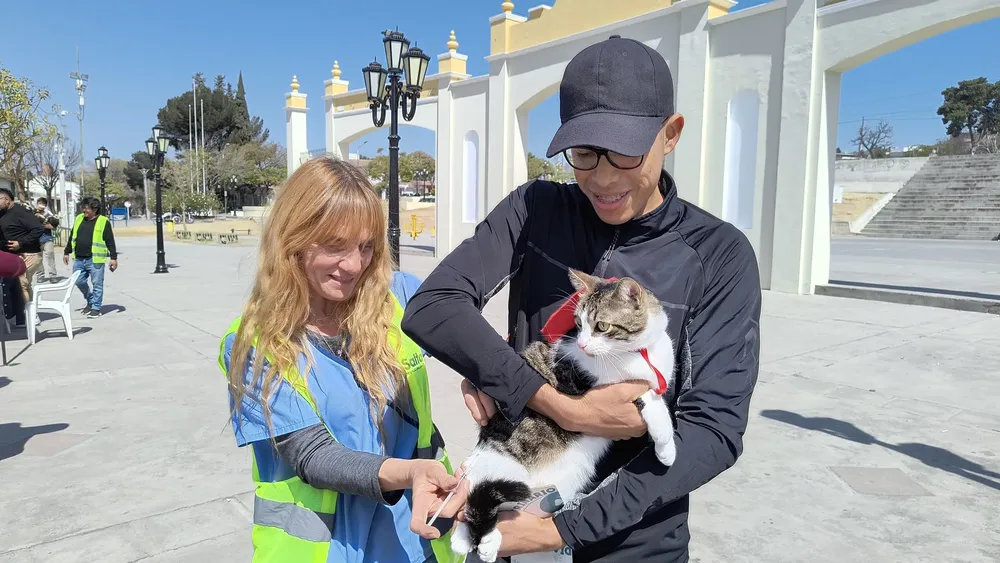 vacunacion-antirrabica-plaza-espana-2