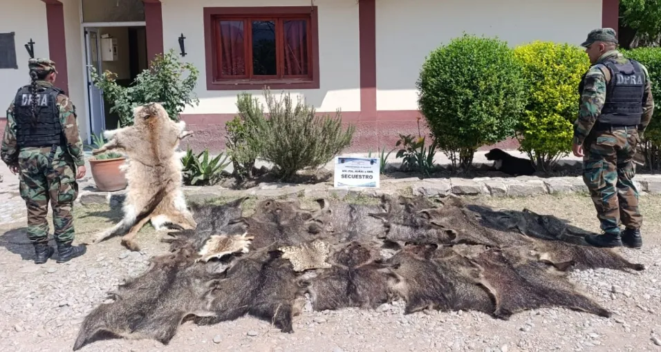 Captura de pantalla 2025-09-18 114713