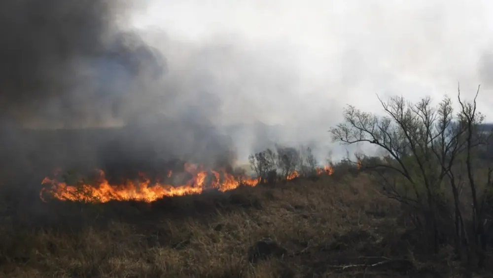 hasta-ahora-hay-6-detenidos-por-los-incendios-en-las-islas-del-parana-y-todos-afirmaron-que-son-apicultores-que-realizaban-cortafuegos-para-que-las-llamas-principales-no-llegaran-a-sus-colmenas-foto-tel
