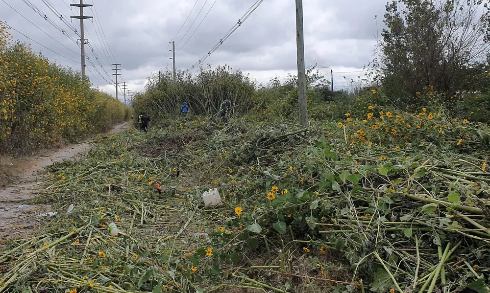 limpieza-terreno-finca-2048x1226