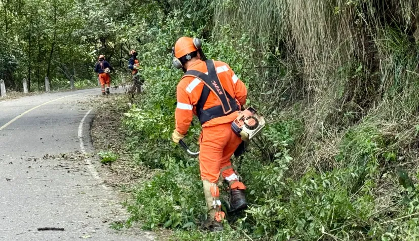 Captura de pantalla 2025-08-02 123339