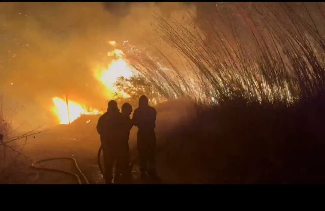 454349063_905144684987774_2781341576611348348_n