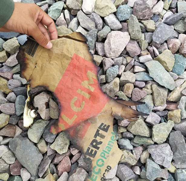 Captura de pantalla 2024-12-09 204729