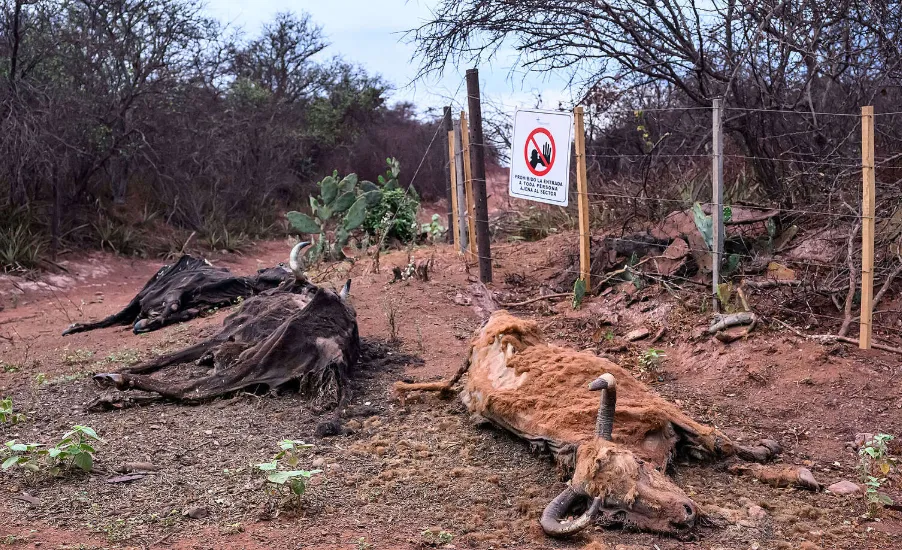 Captura de pantalla 2025-11-14 062850
