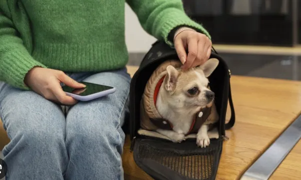 Captura de pantalla 2025-12-30 100543