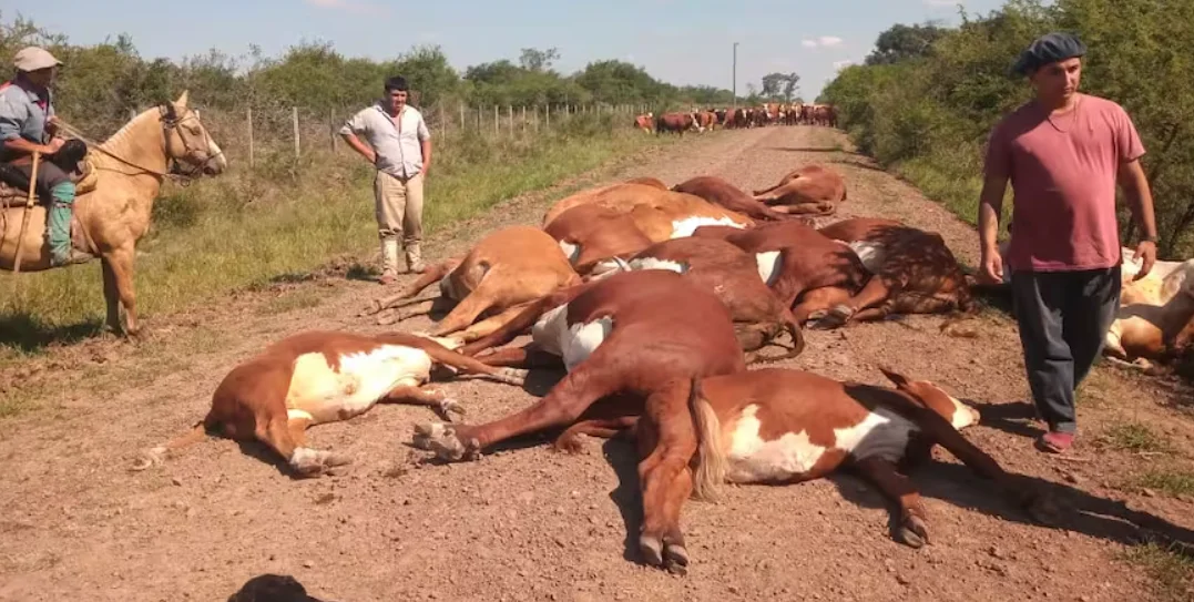 Captura de pantalla 2026-03-30 115847