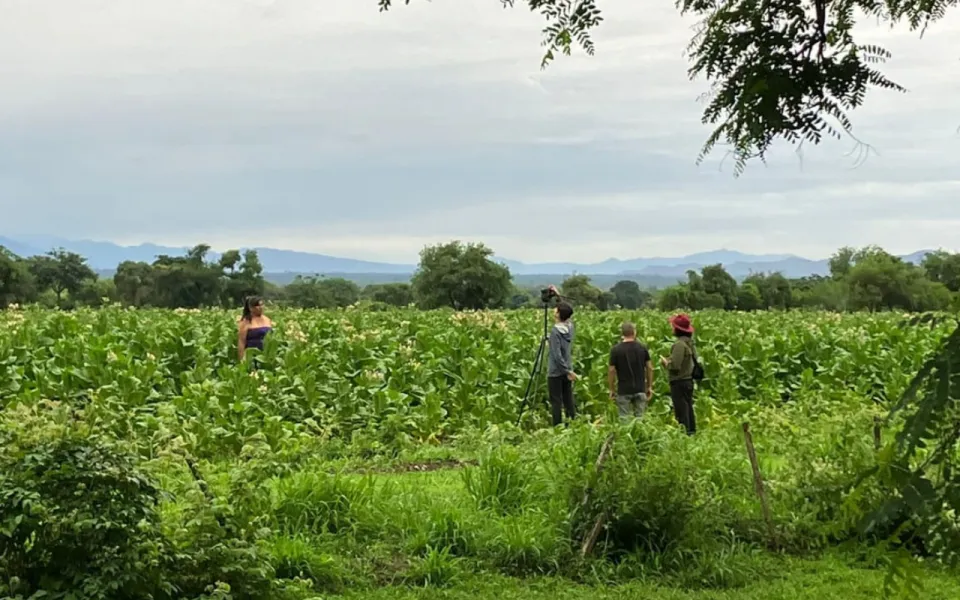 97081-concurso-de-videoclips-del-plan-de-fomento-idea-2024