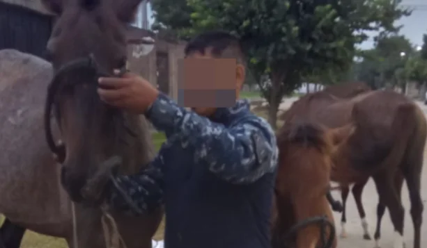 Captura de pantalla 2026-03-28 115821