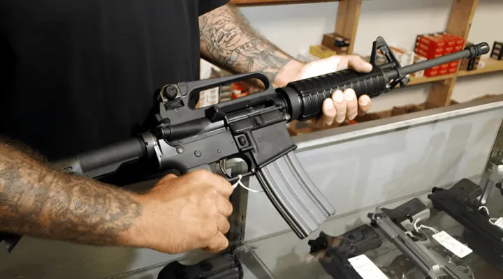 fusil-semiautomatico_-1-.png_290287028