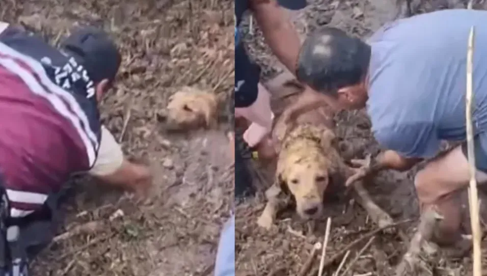 Captura de pantalla 2026-01-09 112028