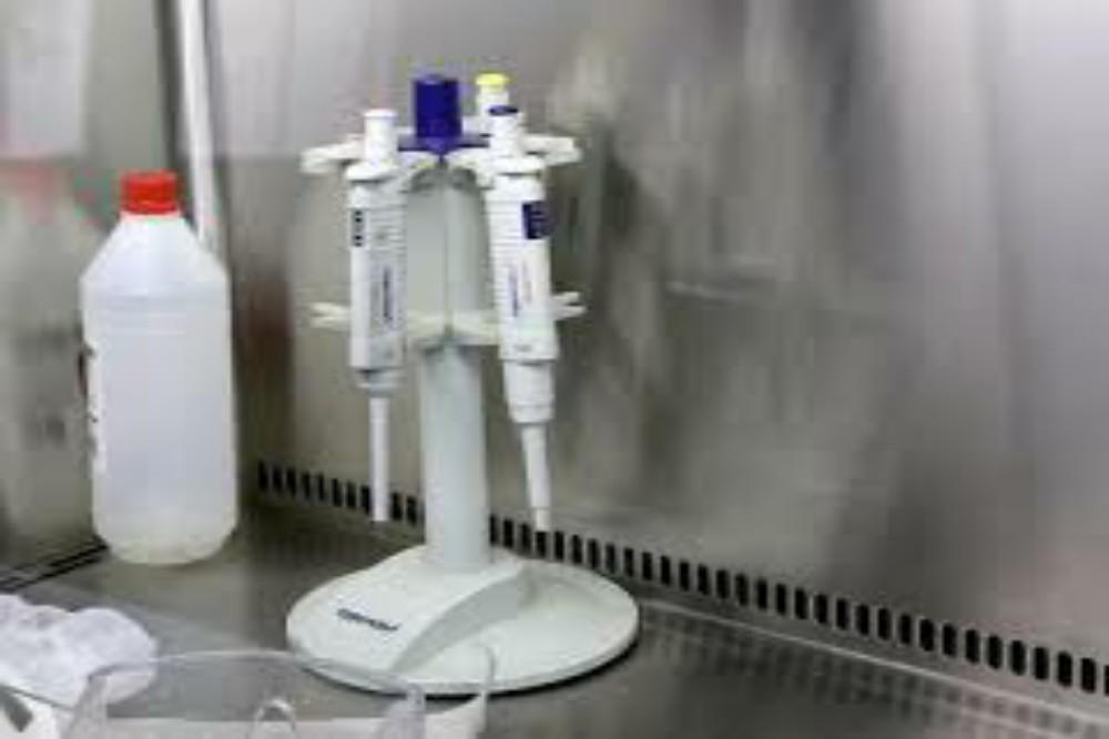 3007-Reporte diario de COVID-