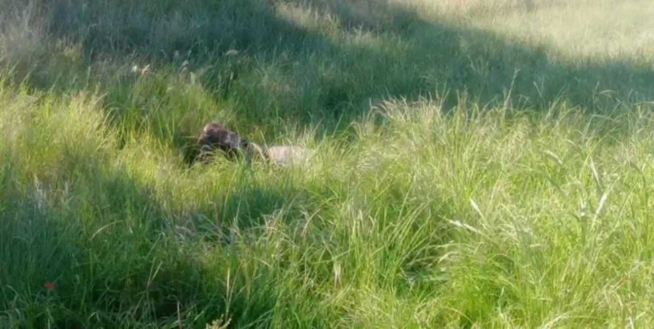 lW5qaiJOO_1300x655__1