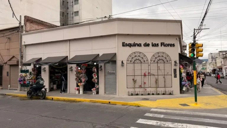 esquina de las flores