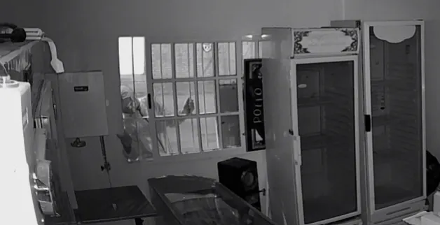 Captura de pantalla 2025-11-17 105722