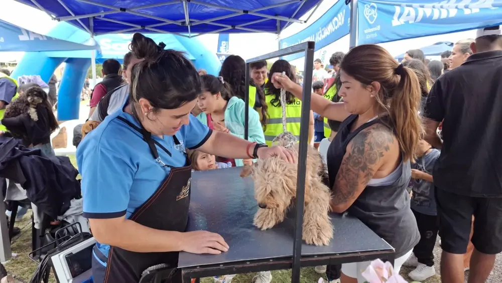 muni animal peluqueria canina