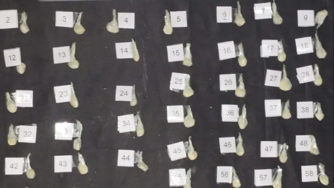 Captura de pantalla 2025-09-25 110244