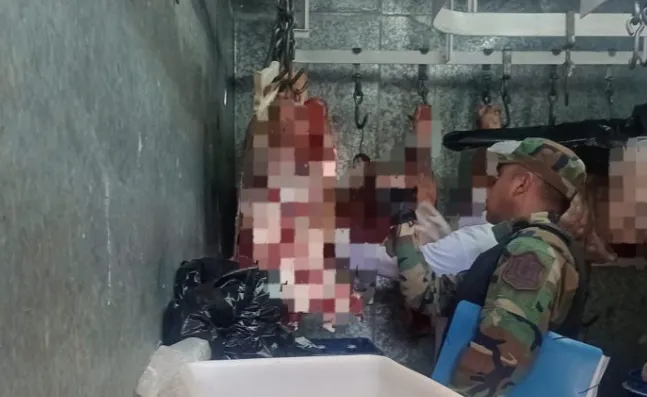 Captura de pantalla 2025-10-14 114613