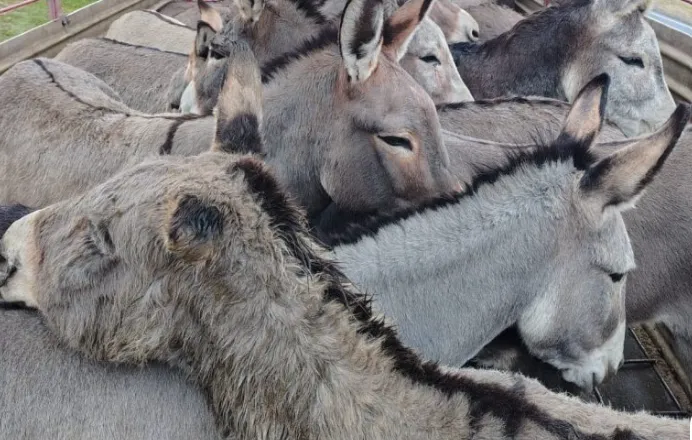 Captura de pantalla 2025-06-18 124753