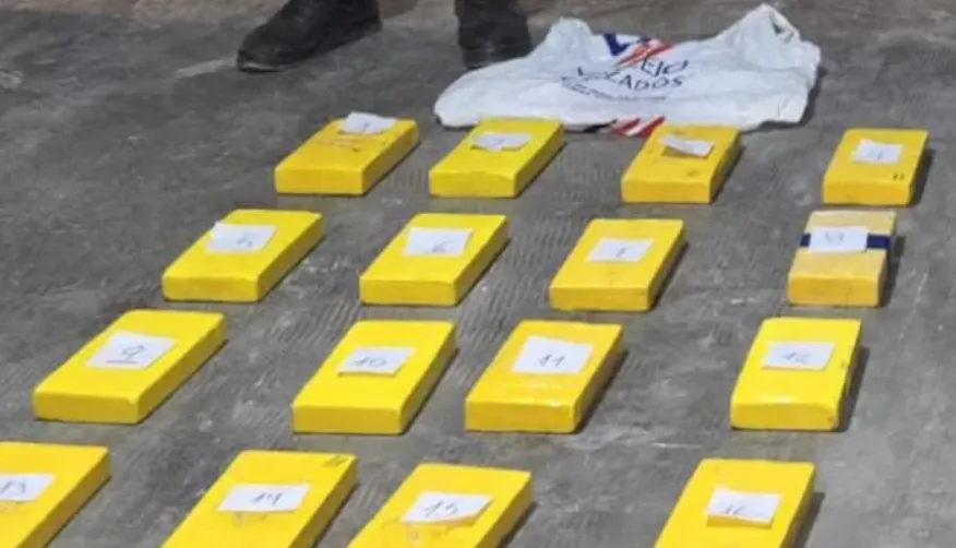 Captura de pantalla 2026-01-19 110034