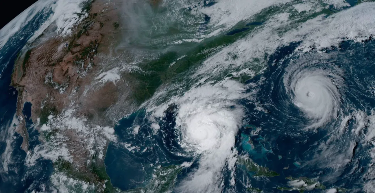 Captura de pantalla 2024-11-20 103032