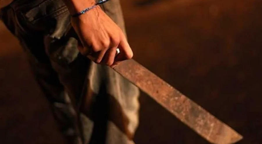 Captura de pantalla 2026-03-13 203647