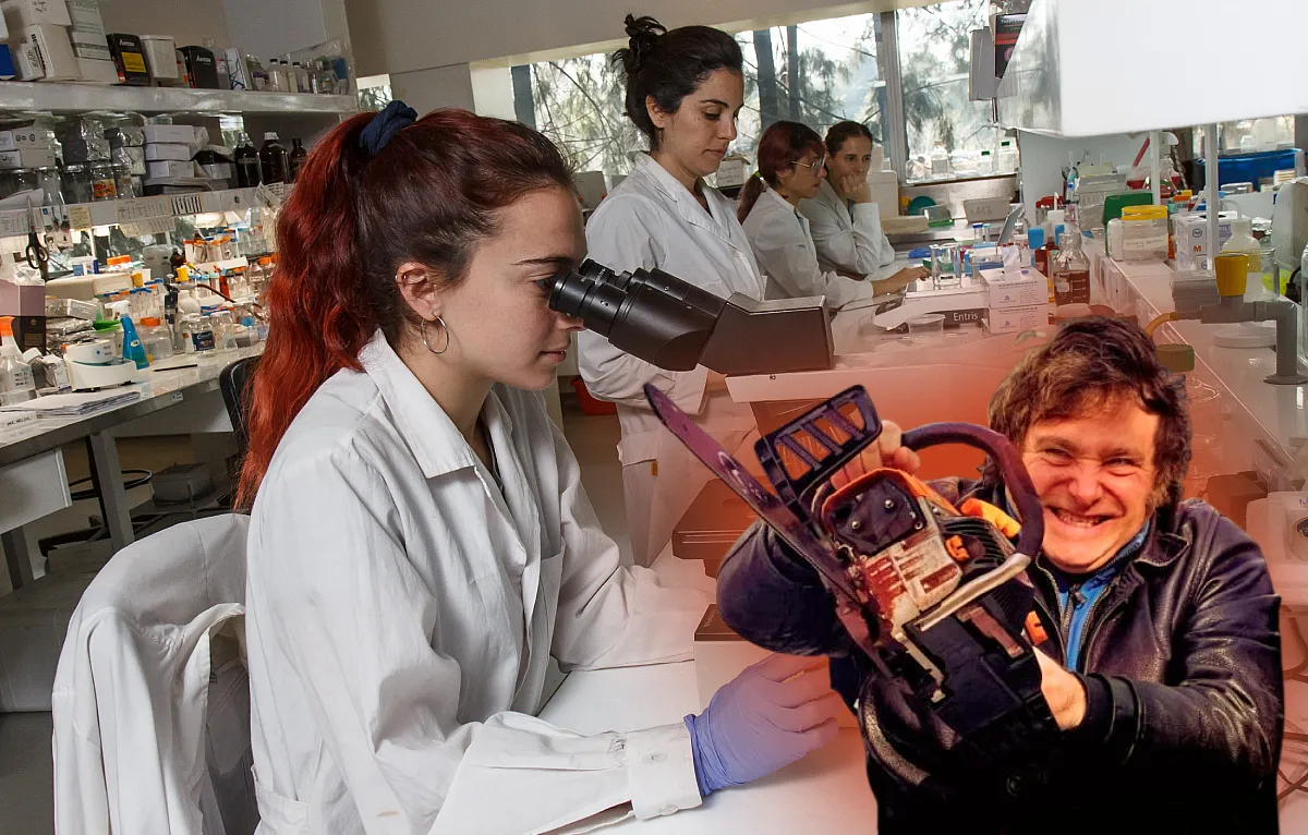 Proyecto-nuevo-2025-01-10T123314.836