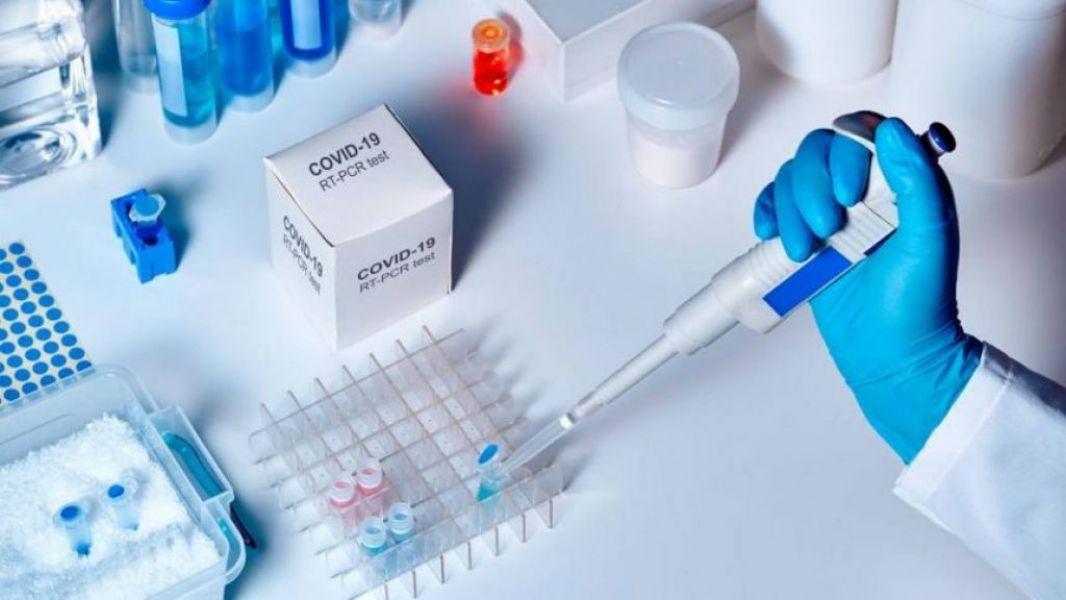 73028-reporte-covid-19-del-4-de-noviembre