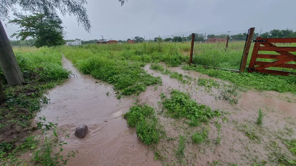 Urbanización La Eulogia- La Silleta (8)