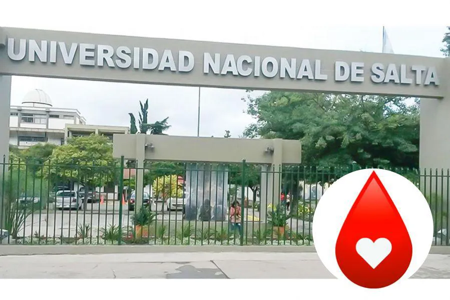 multimedia.normal.87669deaeff2cee4.V2hhdHNBcHAgSW1hZ2UgMjAyMy0xMC0yNCBhdCAwOC5fbm9ybWFsLmpwZWc=